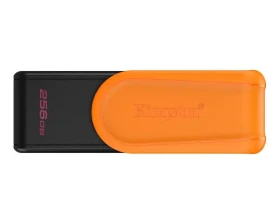 USB Flash 256 GB Kingston 3.2 Gen1 DTXS/256GB