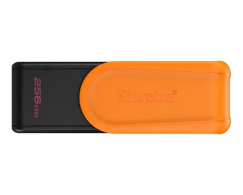 USB Flash 256 GB Kingston 3.2 Gen1 DTXS/256GB slika 1
