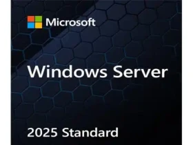 Microsoft Windows Server Standard 2025 64bit English 1pk DSP OEI DVD 16 core P73-08538
