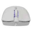 Miš Baracuda OCTOPUS 3600DPI/6D/Optički/RGB/Bela mini 1
