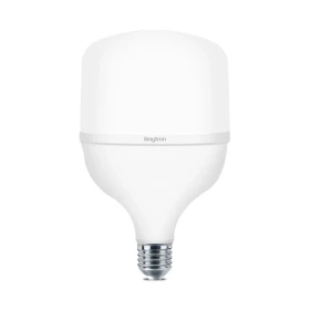 BRY ADVANCE 30W E27 T100 PLS 3000K LED SIJALICA