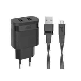 Kućni punjač RIVACASE PS4122 BD1/crni