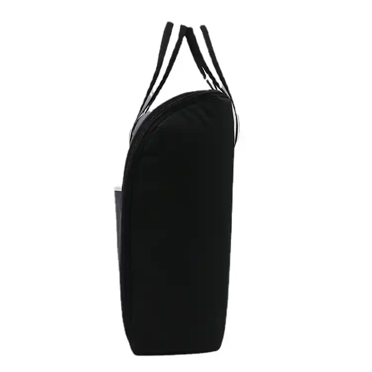 Torba za projektor Zeus PB01 univerzalna slika 1