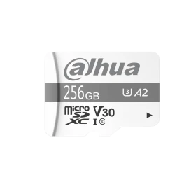Dahua TF-P100/256GB